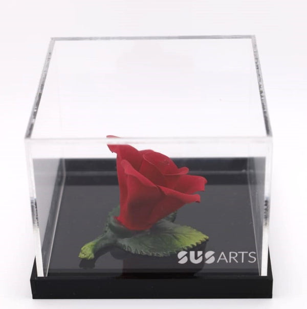 Red  Rose in box